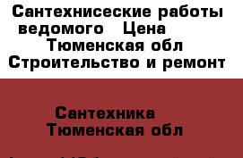 Сантехнисеские работы ведомого › Цена ­ 100 - Тюменская обл. Строительство и ремонт » Сантехника   . Тюменская обл.